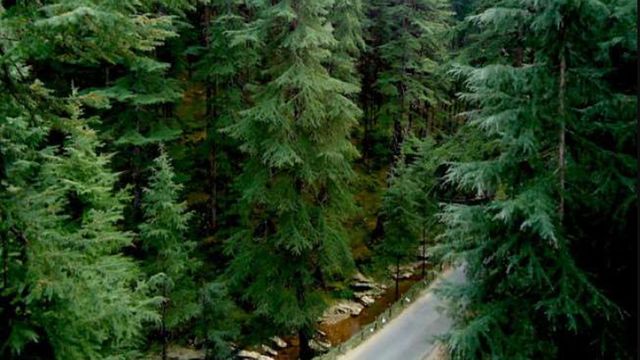 बायोमेडिकल वेस्ट से बीमार हो रहे उत्तराखंड के पहाड़, मैदान में भी घोर लापरवाही