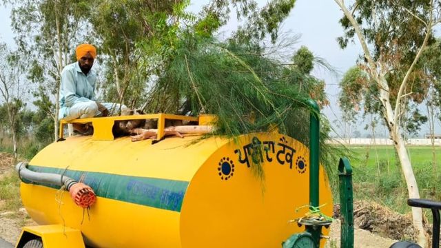 मुक्तसर में मानसून में लगेंगे 6.5 लाख पौधे, हाईवे पर काटे गए पेड़ों की भरपाई के लिए वन विभाग का बड़ा अभियान
