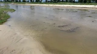 पश्चिम चंपारण के हरनाटांड़ में गांवों के दोनों तरह हैं नदी।