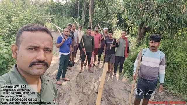 वाल्मीकि टाइगर रिजर्व से निकला बाघ फिर बदला ठिकाना, धनरपा के सरेह में मिले ताजा पग मार्क
