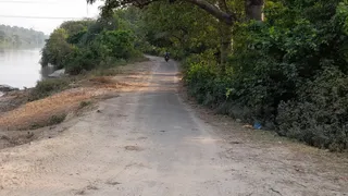 गंगनहर पटरी रोड का फाइल फोटो। फोटो: आर्काइव