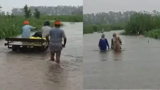 पिछले चार दिन की लगातार वर्षा से रावी दरिया का बढ़ा जलस्तर, मंडराने लगा बाढ़ का खतरा।