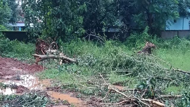 लोहरदगा में नई शहरी जलापूर्ति योजना के नाम पर कटे आधा दर्जन पेड़, अनुमति पर उठे सवाल
