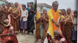 जलावन के ढेर में छिपे विशाल कोबरा को संपेरे ने अपनी बीन की धुन पर बाहर निकाला। फोटो: वायरल वीडियो