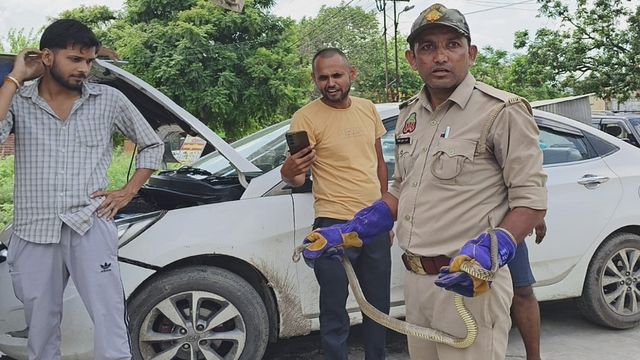 मेरठ में थाने के सामने दारोगा की कार बनी सांप का घर, इंजन में छिपने के कारण तलाशना भी हुआ मुश्किल; मची अफरातफरी