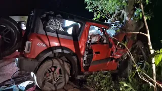 थार पेड़ से टकराई
