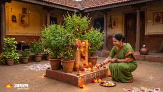 तुलसी के पौधे: घर में एक से अधिक रखने के वास्तु नियम और दिशा (Picture Credit: AI Generated)