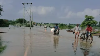 तस्वीर- फाइल।