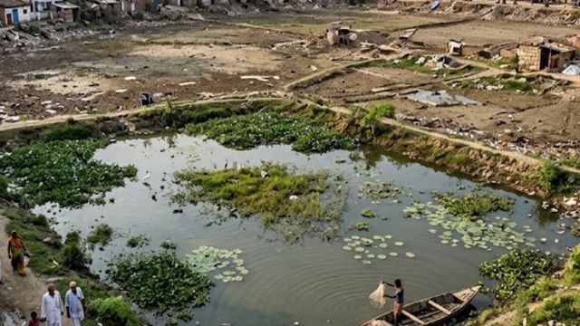 छपरा में 13 एकड़ से सिकुड़कर 2 एकड़ में सिमटा वेटलैंड, वेटरन्स फोरम ने DM से लगाई गुहार