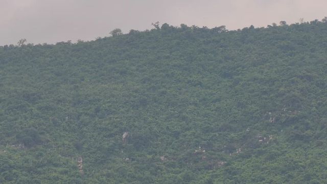 मुंगेर : लड़ैयाटांड़ के जंगल से एसटीएफ ने बरामद किए 5 डिफ्यूज केन बम, तलाशी अभियान तेज, इलाके में सनसनी
