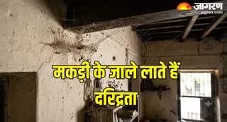 घर में मकड़ी के जाले क्यों हैं अशुभ? (Picture Credit- AI Generated)