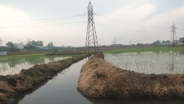 हरियाणा: सीएम विंडो पर शिकायत के डेढ़ साल बाद भी समाधान नहीं,अब PMO का दरवाजा खटखटाएंगे किसान