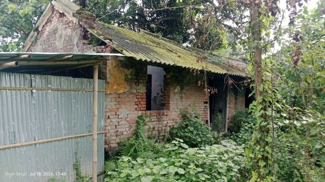 कटिहार में फीकी पड़ी रेशम की चमक, रोशना मलबरी फार्म बना खंडहर; रोजगार की तलाश में 70 मजदूरों का पलायन
