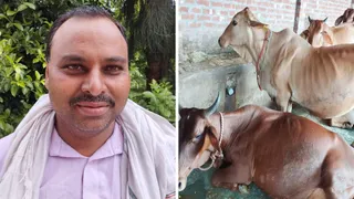 मिनी नंदिनी योजना: डेयरी फार्मिंग से राजपाल सिंह की महीने की कमाई ₹1 लाख के पार