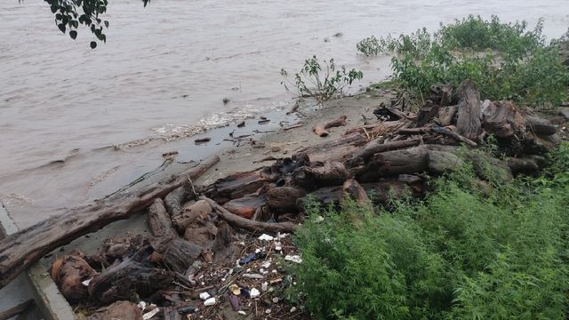 जम्मू-कश्मीर: बाढ़ के साथ बह गया लाखों का खजाना, चिनाब के रास्ते पाकिस्तान पहुंचीं कीमती लकड़ियां
