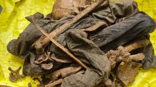 हाईवे थाना क्षेत्र के गांव बाजना में मिला नर कंकाल