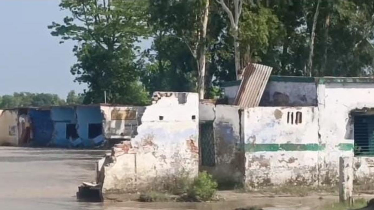 लखीमपुर में शारदा ने पसारे पांव, 12 बीघा धान की फसल नदी में समाई, अब घरों और स्कूल पर मंडरा रहा खतरा
