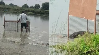 छतारी के गांव लालगढ़ी स्थित तालाब में पिंजरा लगाता वनकर्मी व पिंजरे में घुसकर मुर्गा खाता मगरमच्छ। वीडियो ग्रैब