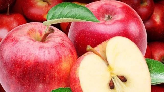 कुल्लू में केमिकल युक्त सेब खाने से व्यक्ति की मौत, बगीचे में घास पर की स्प्रे बन गई जानलेवा