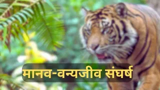 प्रतीकात्मक तस्वीर।
