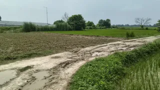 NH-727B प्रोजेक्ट: यूपी में काम पूरा, बिहार में सड़क और ओवरब्रिज का इंतजार