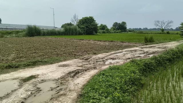 NH-727B प्रोजेक्ट: यूपी में काम पूरा, बिहार में सड़क और ओवरब्रिज का इंतजार
