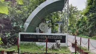 संरक्षण के बेहतर प्रयासों और अनुकूल माहौल के कारण यहां बाघों की संख्या लगातार बढ़ रही है। फाइल फोटो