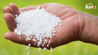 पहली तिमाही में खाद के उत्पादन और आयात का आंकड़ा