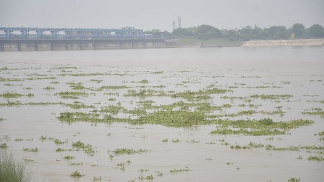 कानपुर: दो दिन में गंगा का जलस्तर 89 सेंटीमीटर बढ़ा, चेतावनी बिंदु से 2.06 मीटर दूर