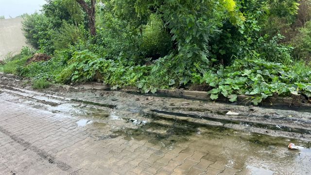 रेवाड़ी में अधूरी सड़क और टूटी नालियों के निर्माण को लेकर भारी आक्रोश, शिकायत के बाद भी नहीं जागा सिस्टम
