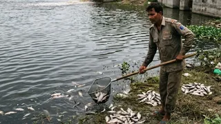 प्रतीकात्मक प्रस्तुतीकरण के लिए तस्वीर को एआई टूल की मदद से बनाया गया है।