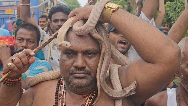 समस्तीपुर में सांपों पर क्रूरता करने वालों पर शिकंजा, लवनी-घड़ों से मुक्त कराए गए 20 से अधिक सांप
