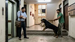 सांकेतिक तस्वीर एआई जनरेटेड