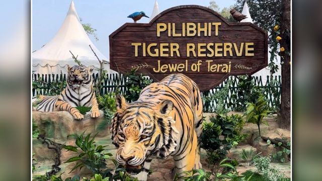 पीलीभीत के जंगलों में मुस्तैद होंगे अग्निवीर, उत्तराखंड के फैसले के बाद जगी स्पेशल फोर्स के गठन की उम्मीद
