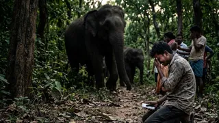 एआई द्वारा जेनरेट इमेज।