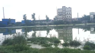 कांटी के सदातपुर में कॉलोनी के पीछे जमा सुधा डेयरी का पानी। फोटो: जागरण