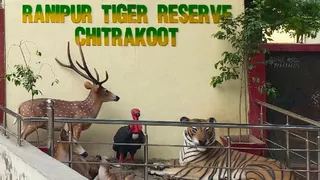आज चित्रकूट से गूंजेगा बाघ संरक्षण का संदेश।