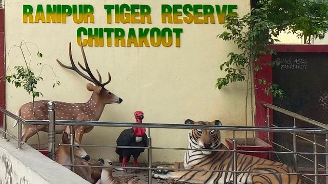 International Tiger Day: आज चित्रकूट से गूंजेगा बाघ संरक्षण का संदेश, जुटेंगे प्रदेश भर के विशेषज्ञ