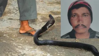 सांप से खेलना युवक को पड़ा भारी, डसने से गई जान (प्रतीकात्मक फोटो और इंसेट में रजत का फाइल फोटो)