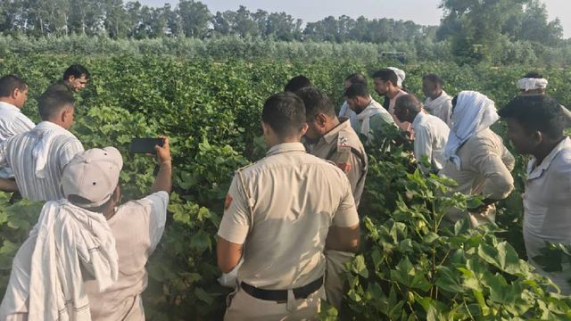 सिरसा में किसान ने जहरीला पदार्थ खाकर खेत में की आत्महत्या, पुलिस ने बरामद किया सुसाइड नोट
