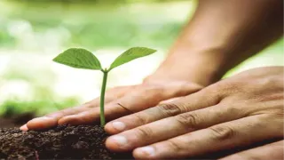 15 अगस्त को प्रदेश भर में 'वंदे मातरम् वाटिका' स्थापित होंगी।