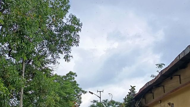 सावन की रिमझिम फुहारों से बदला मौसम, पश्चिम चंपारण में आगे भी बारिश का पूर्वानुमान
