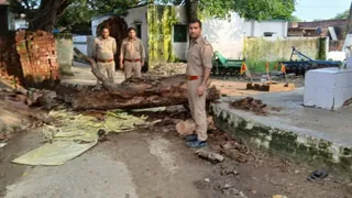 मंदिर में टूटी पड़ी इसी डाल से दबकर हुई महिलाओं की मौत, जांच करती पुलिस