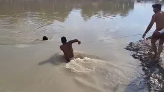गंगनहर में रेस्क्यू आपरेशन चलाती टीम।