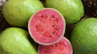 इलाहाबादी अमरूद।