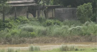 चिउटहा स्थित रोहिन नदी के किनारे शवदाह गृह में बच्ची की हुई हत्या। जागरण