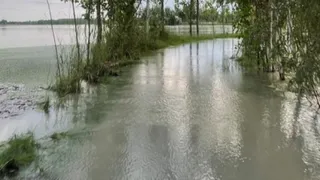 चांदपुर तहसील के खादर क्षेत्र के गांव सीकरी में खेतों व मार्ग पर भरा पानी। जागरण