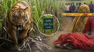 इसमें प्रतीकात्मक तस्वीर लगाई गई है। (फोटो-AI जनरेटेड)