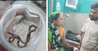 डिब्बे में बंद करैत सांप व जिला अस्पताल में भर्ती श्रवण देवी। वीडियो ग्रैब