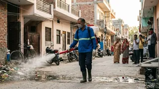 डेंगू के मच्छर कीटनाशकों के प्रति हुए प्रतिरोधी